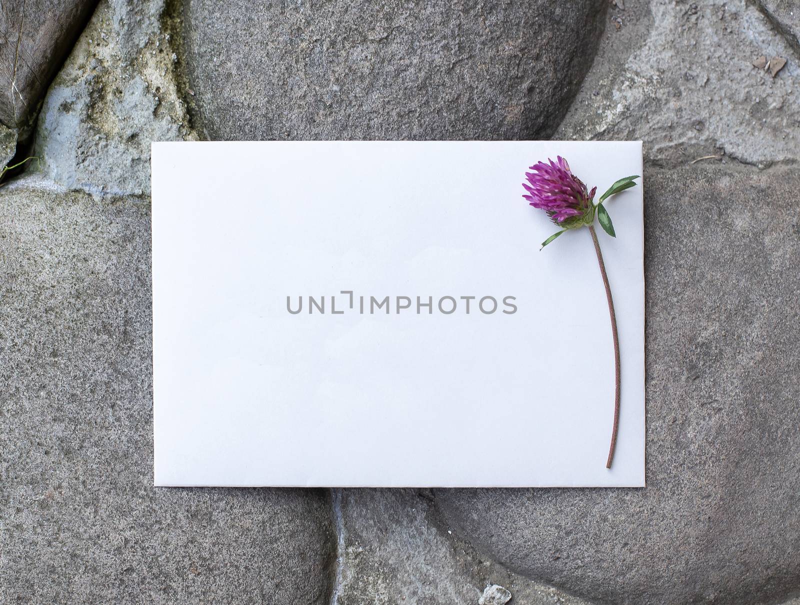 Wedding details flat lay on stone background. Wedding invitation. Ring box. Mock up. Copyspace. Clover. by Denys_N