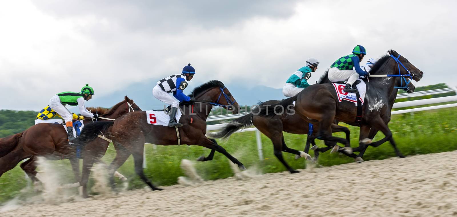 Start gates for horse races for the prize of Asuana on Pyatigorsk hippodrome, Northern Caucasus, Russia.