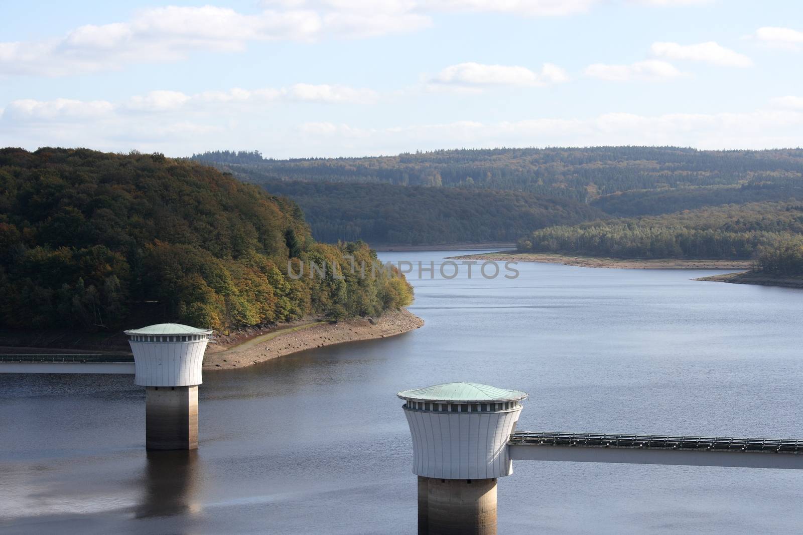 Overlooking a lake bordered by forest