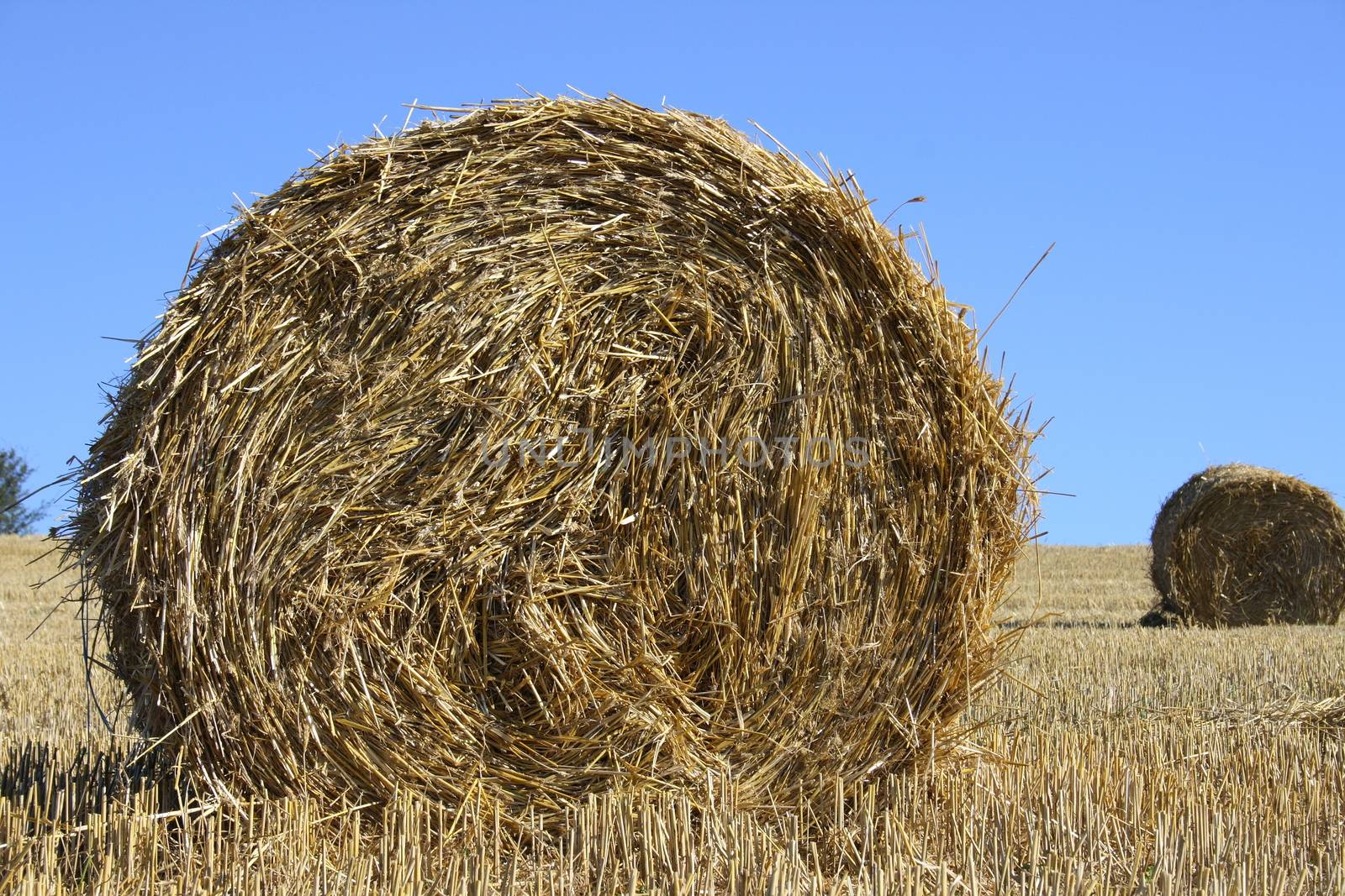 Large round straw roll with blue sky in background