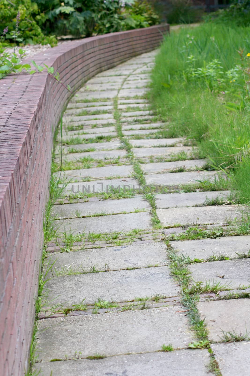 paved path to a brick wall along