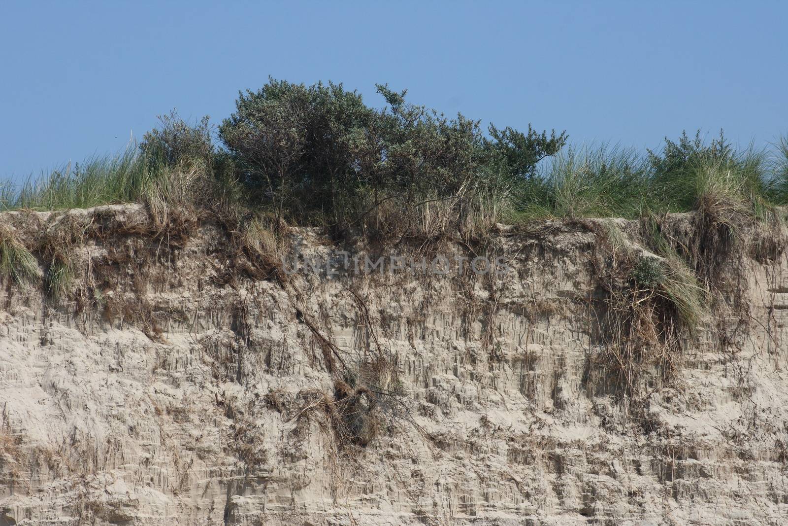 a sandy cliff on the sea coast