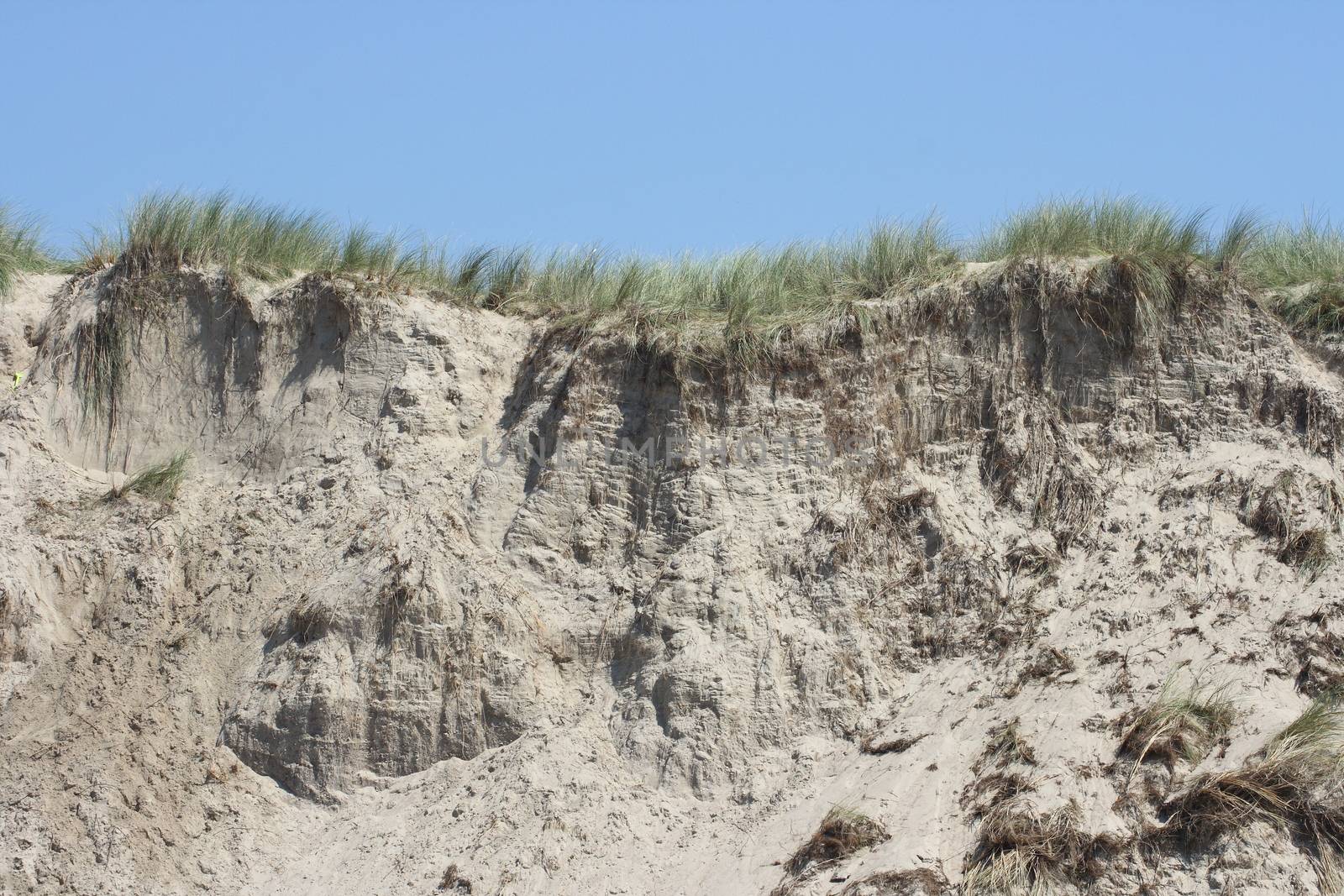 a sandy cliff on the sea coast