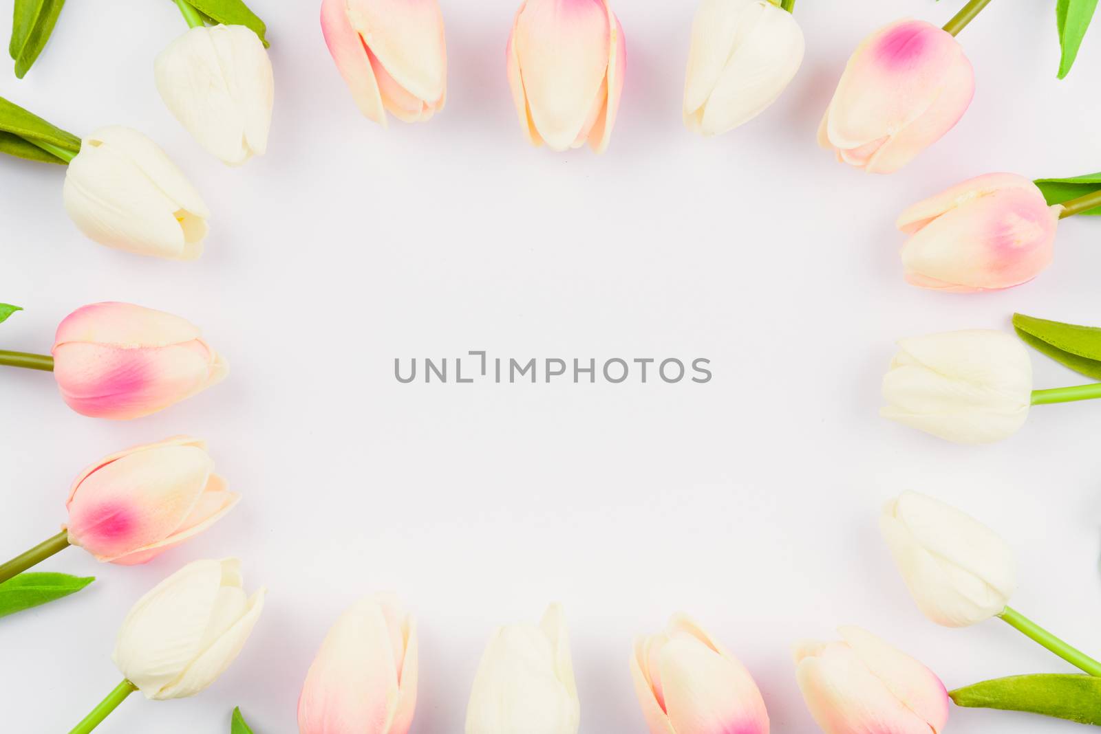 Happy Women's Day, Mother's Day and Valentine's Day concept. top view flat lay Tulip flower on white background, copy space for your text