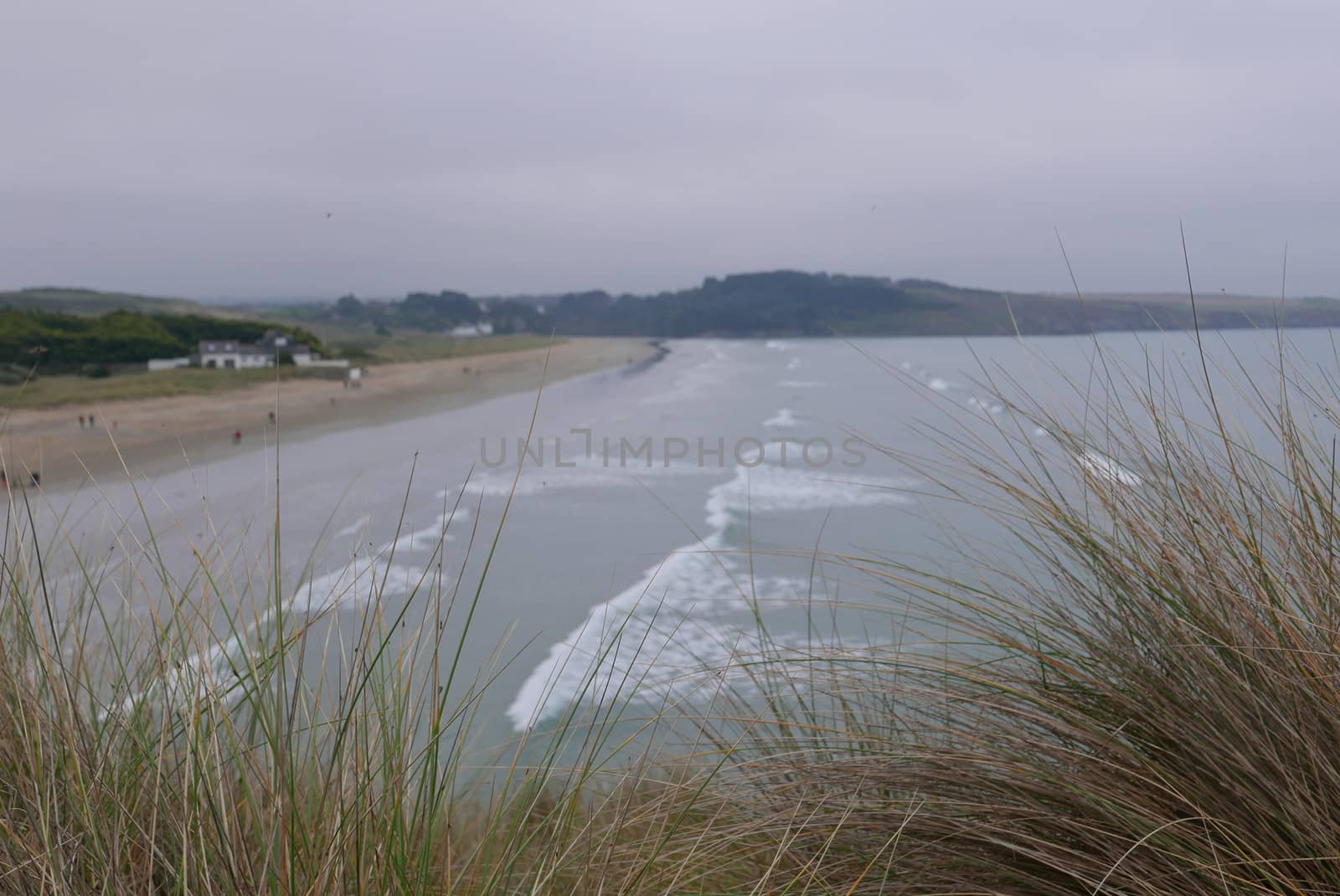 walk in the Brittany countryside in Finistere, France.
discovery of the flora and fauna of the forests