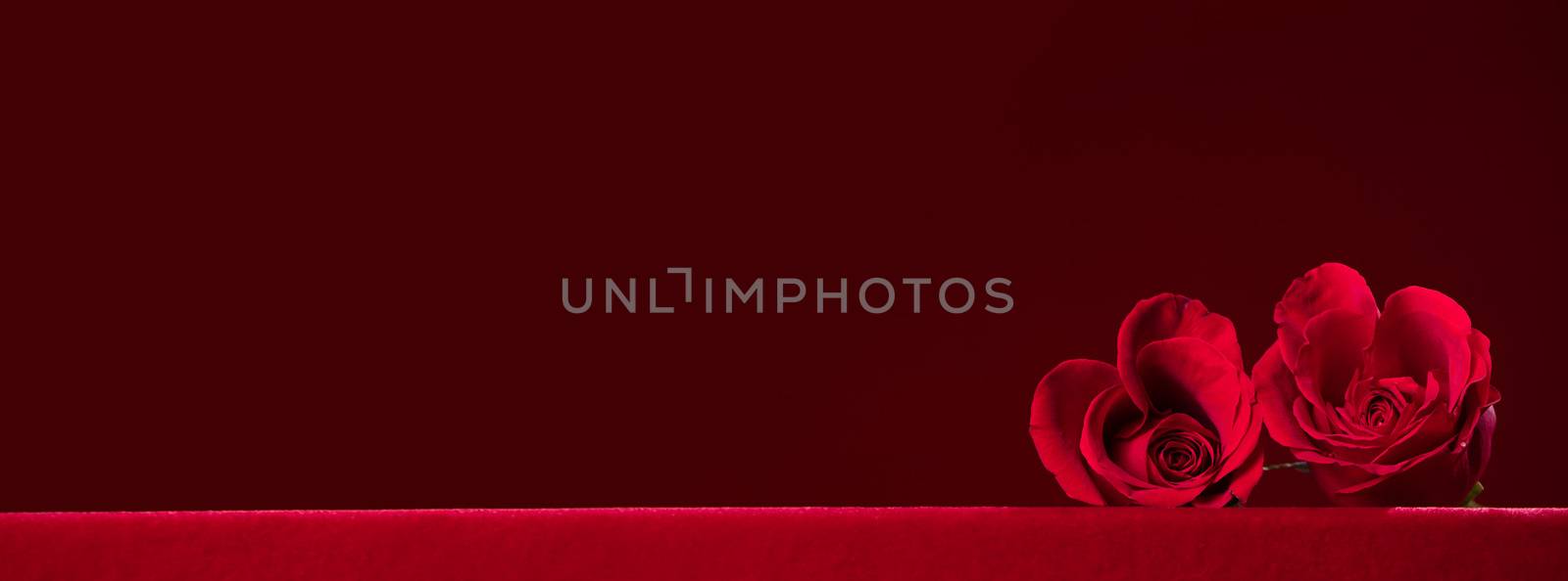 Hearts of red roses on dark red background Valentines day design