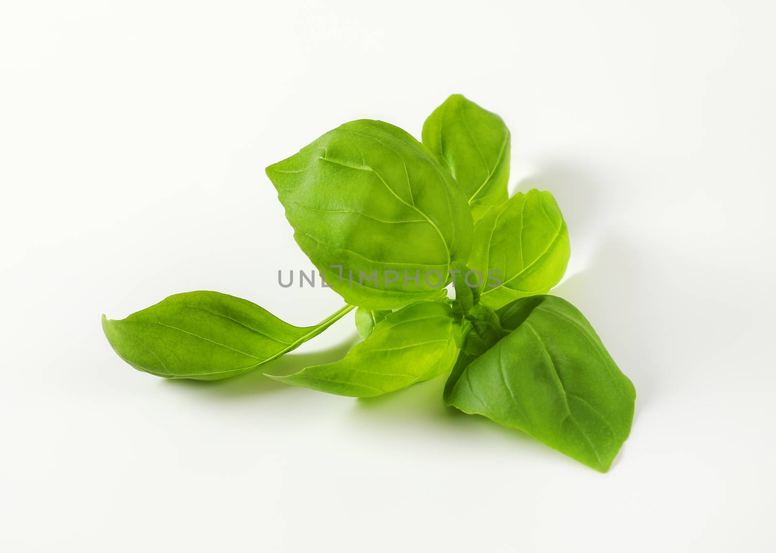 Fresh basil leaves by Digifoodstock