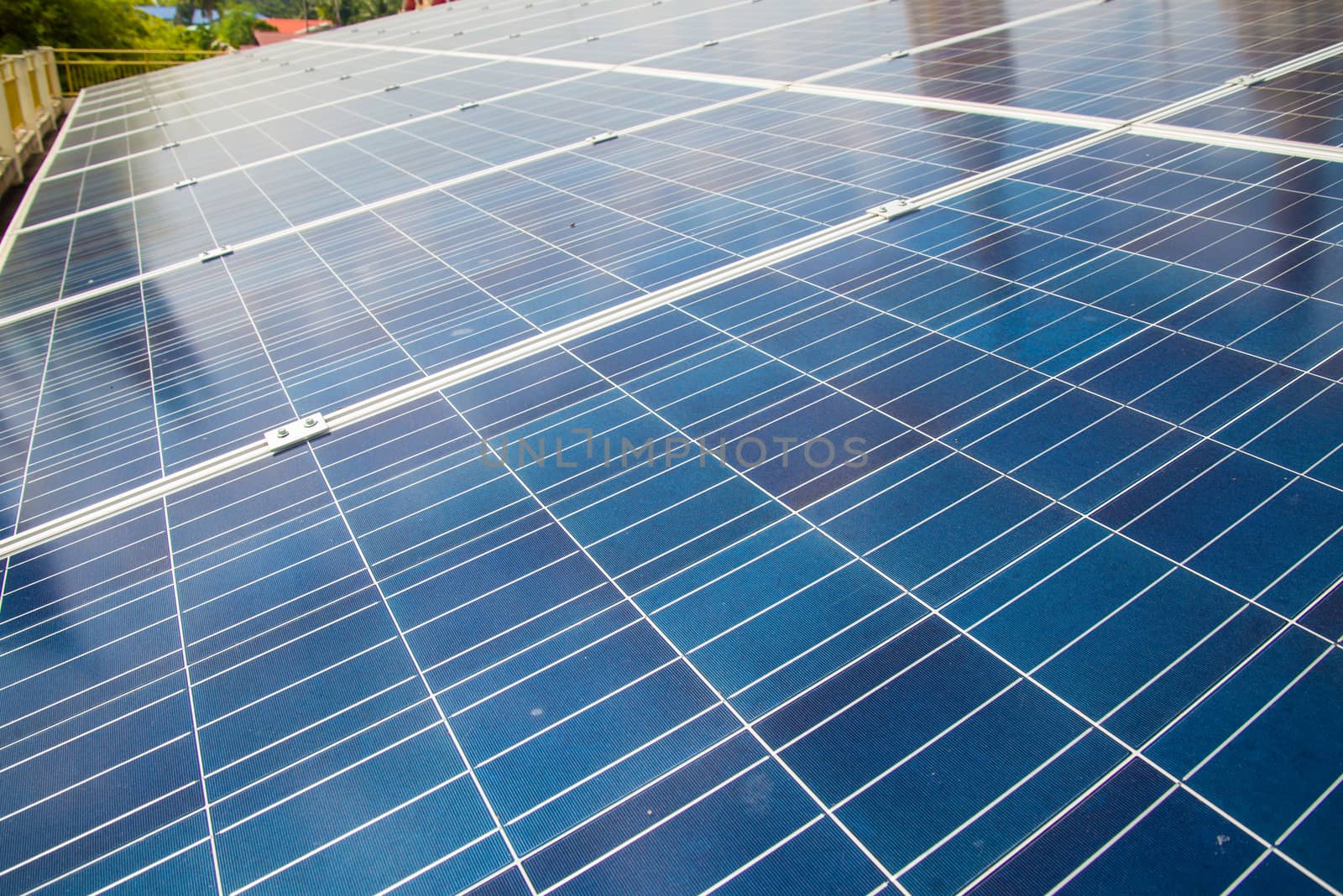Solar panels are used to generate electricity in the home.