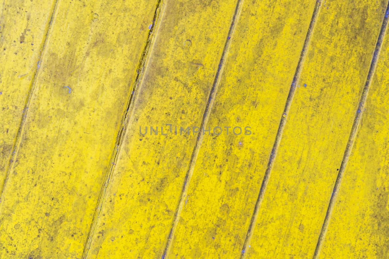 Oil slick on old wooden door for background.
