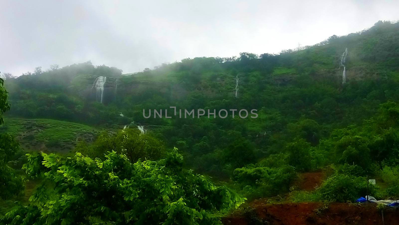 visiting forest during monsoon season