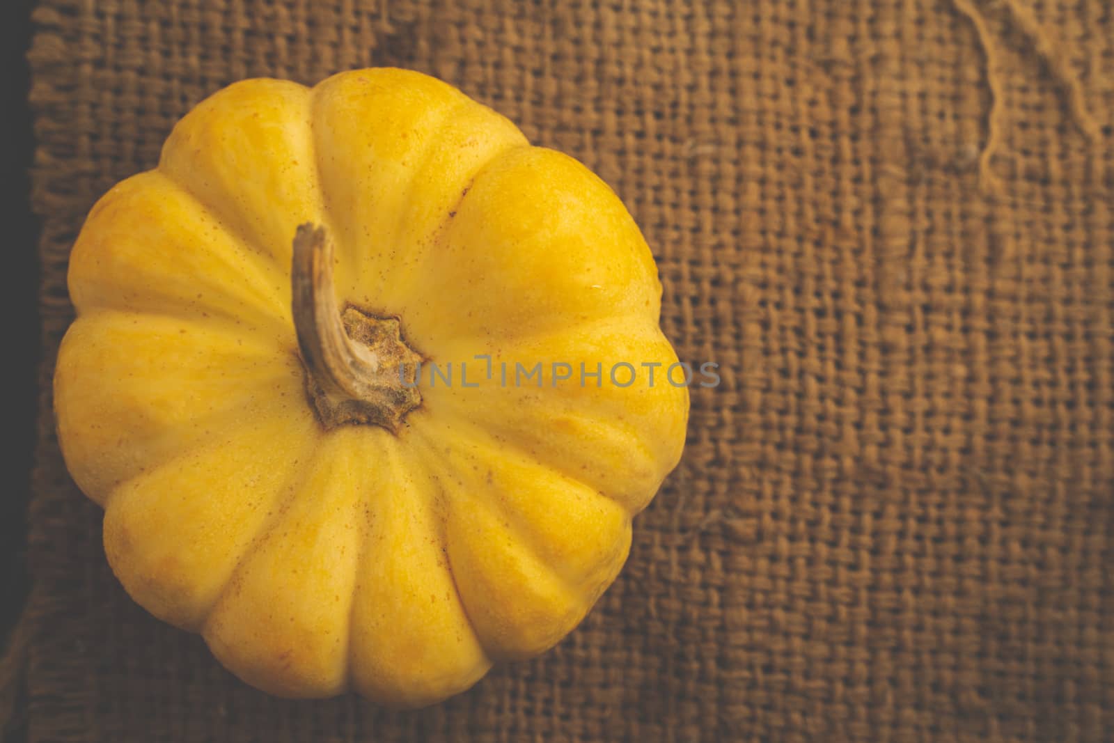 A Fresh Yellow pumpkin on sack with space for put the text by peerapixs