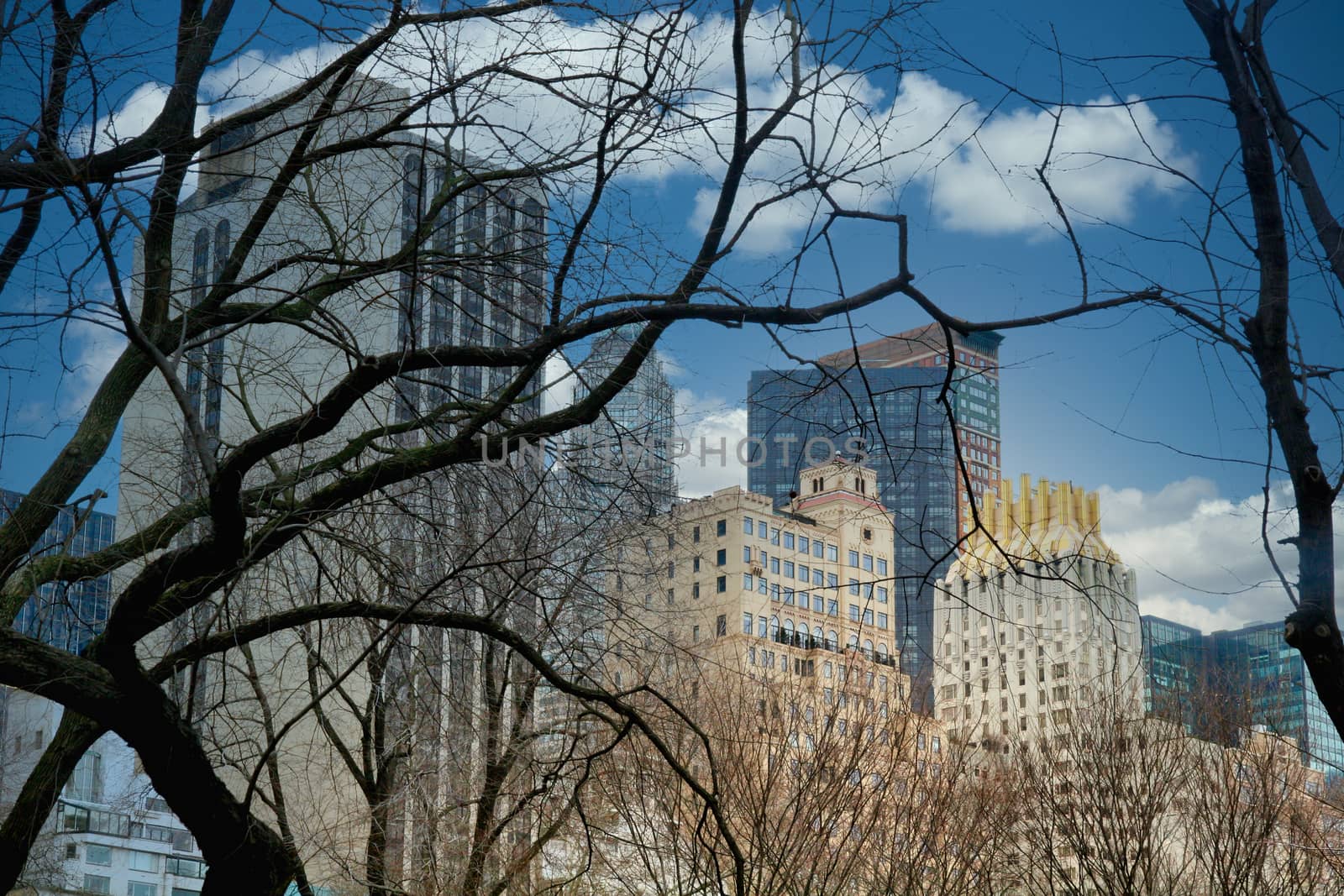 A view of New York City through the trees in Central Park