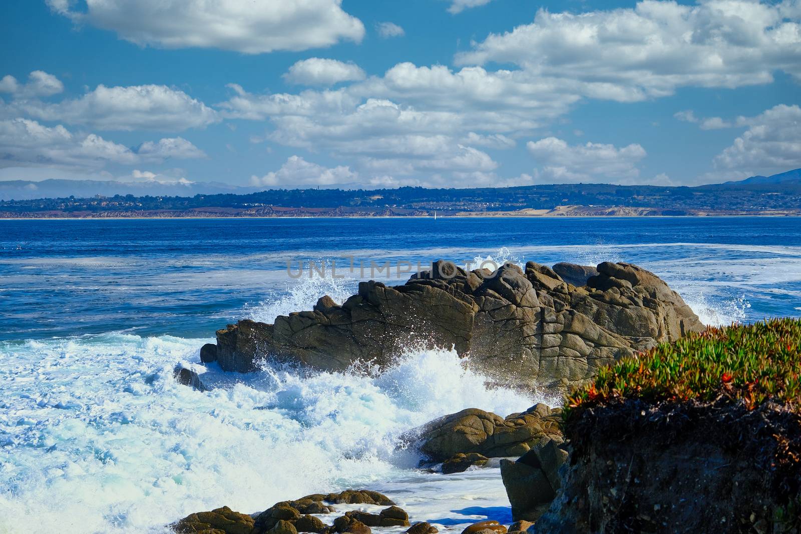 Roaring Surf in Pacific Grove near Monterey