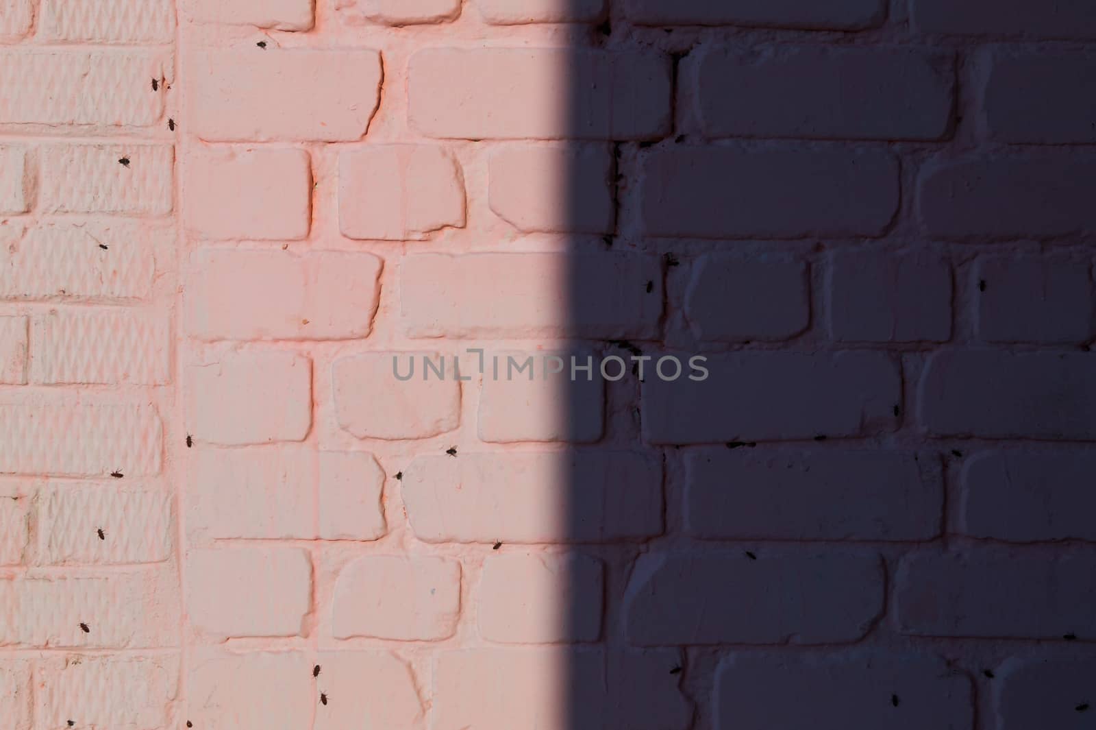 Pink brick wall with vertical shadow line. Textured wall stock pattern.