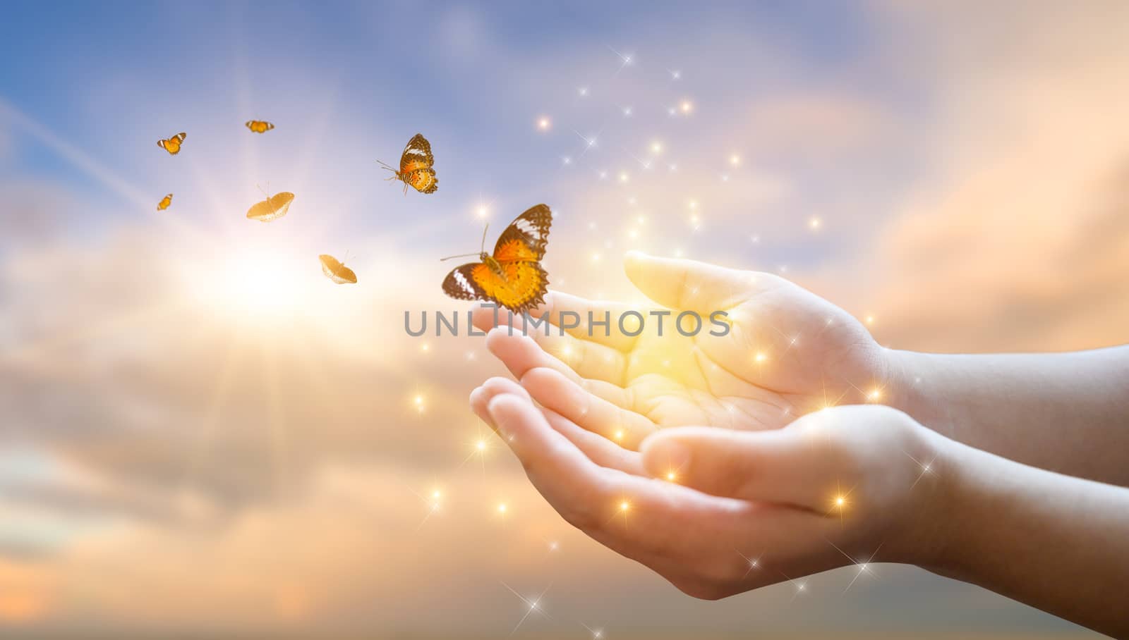 The girl frees the butterfly from the jar, golden blue moment Concept of freedom