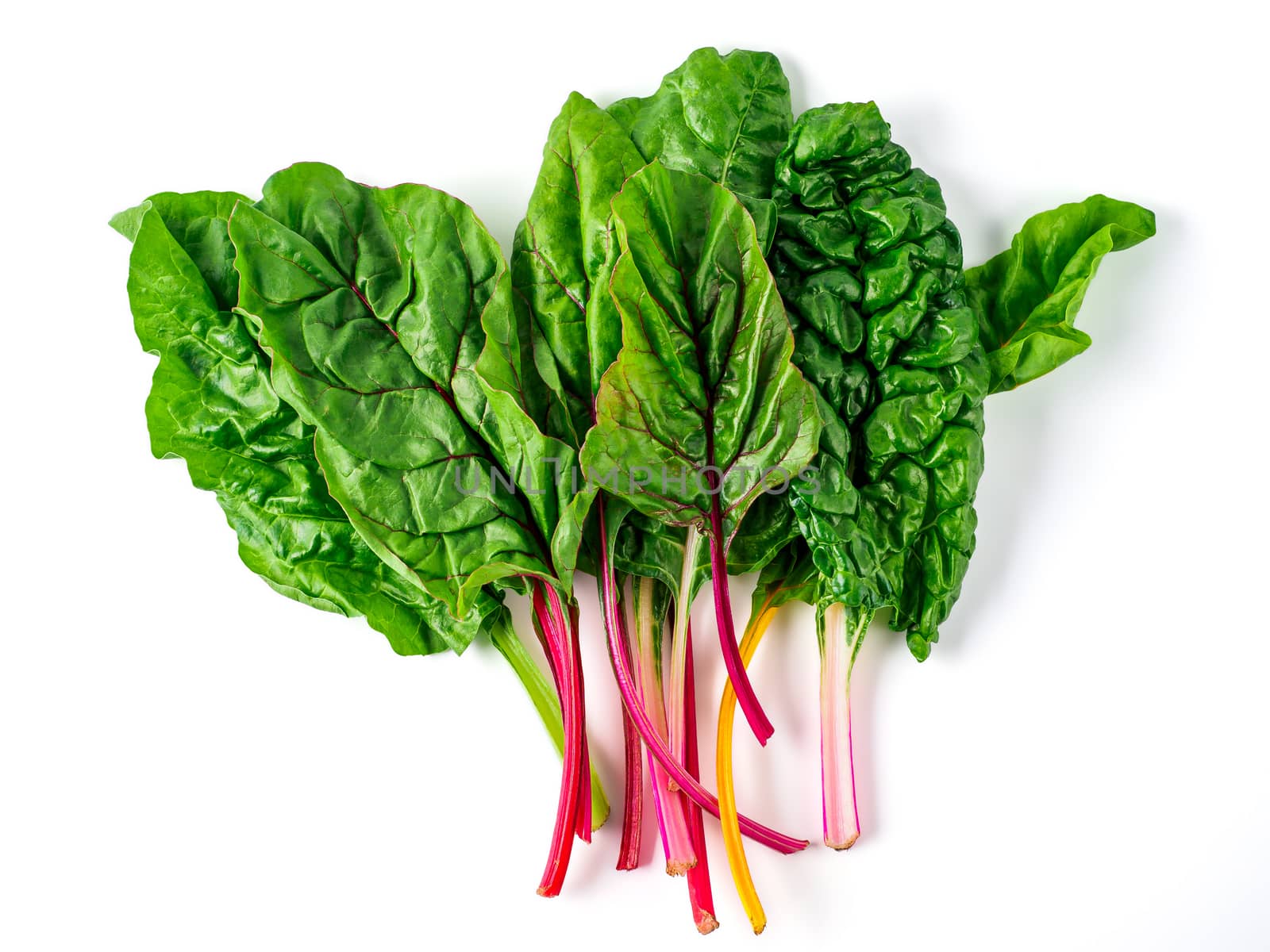 swiss rainbow chard isolated on white by fascinadora