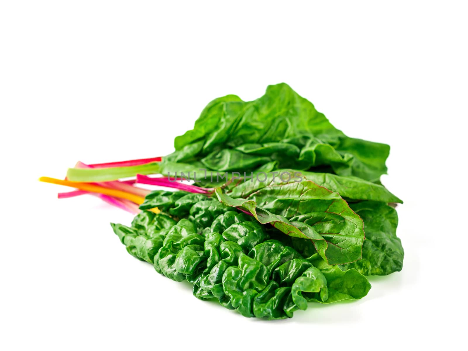 Bunch of swiss chard leafves isolated on white background. Fresh swiss rainbow chard with yellow, red and green colors, side view