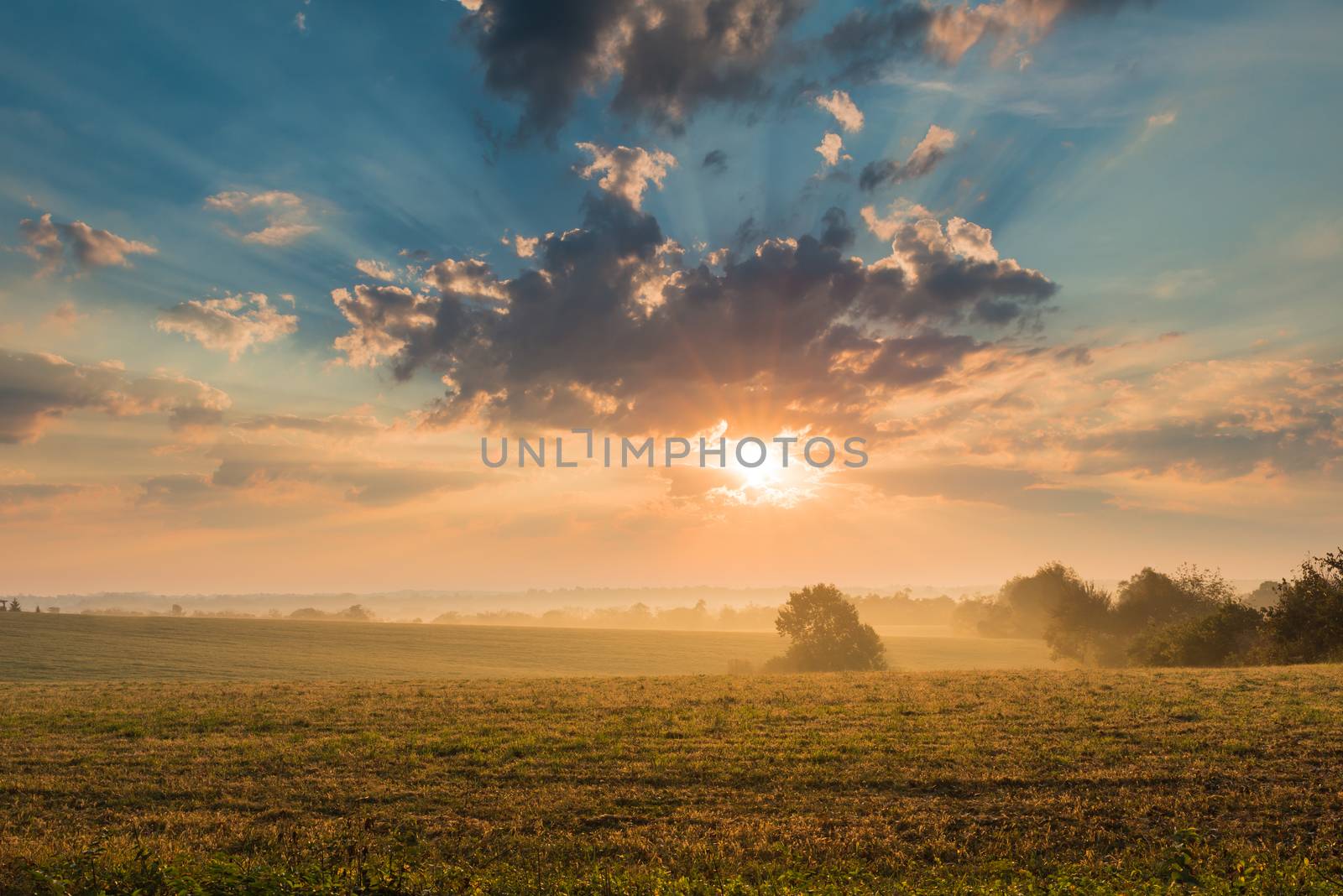 Sunrise Over Field by patrickstock