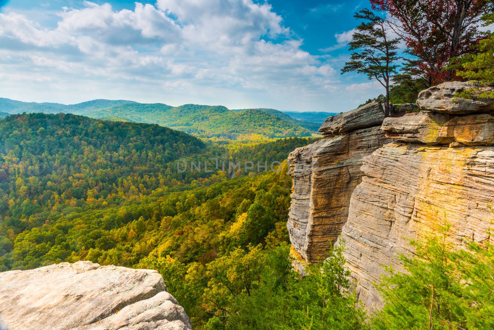 East Pinnacle Lookout by patrickstock