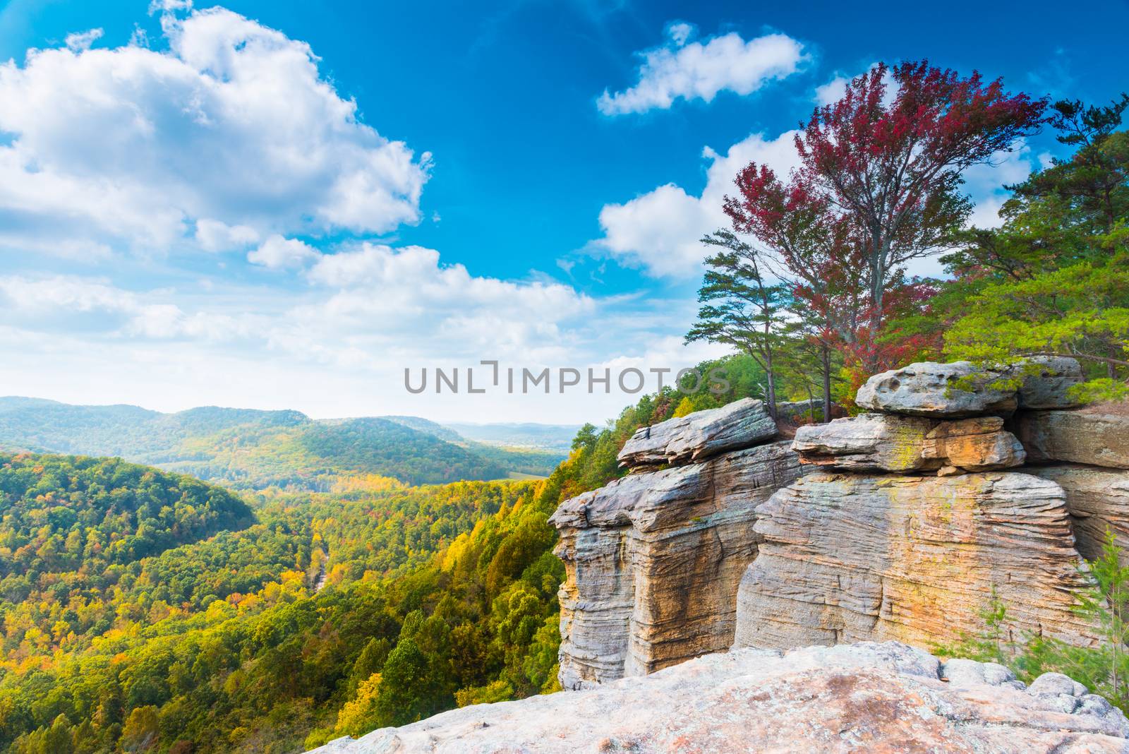 East Pinnacle Lookout by patrickstock