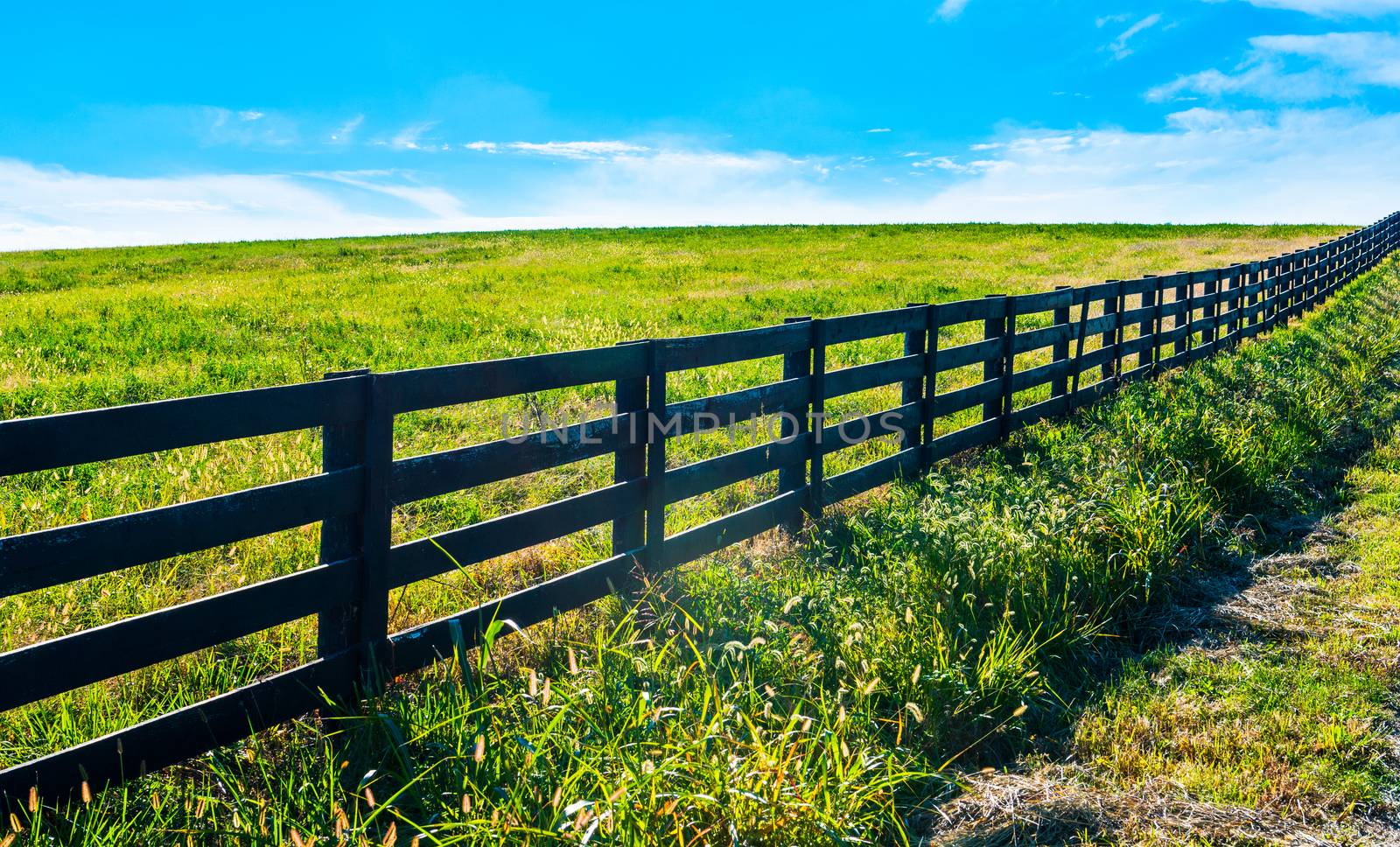 Black Fence with field and blue sky. by patrickstock