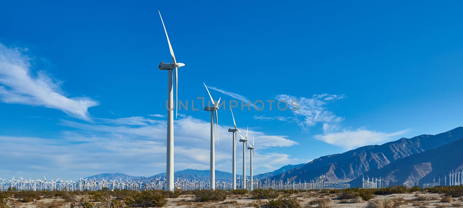 Line of windmills with mountains in the background.