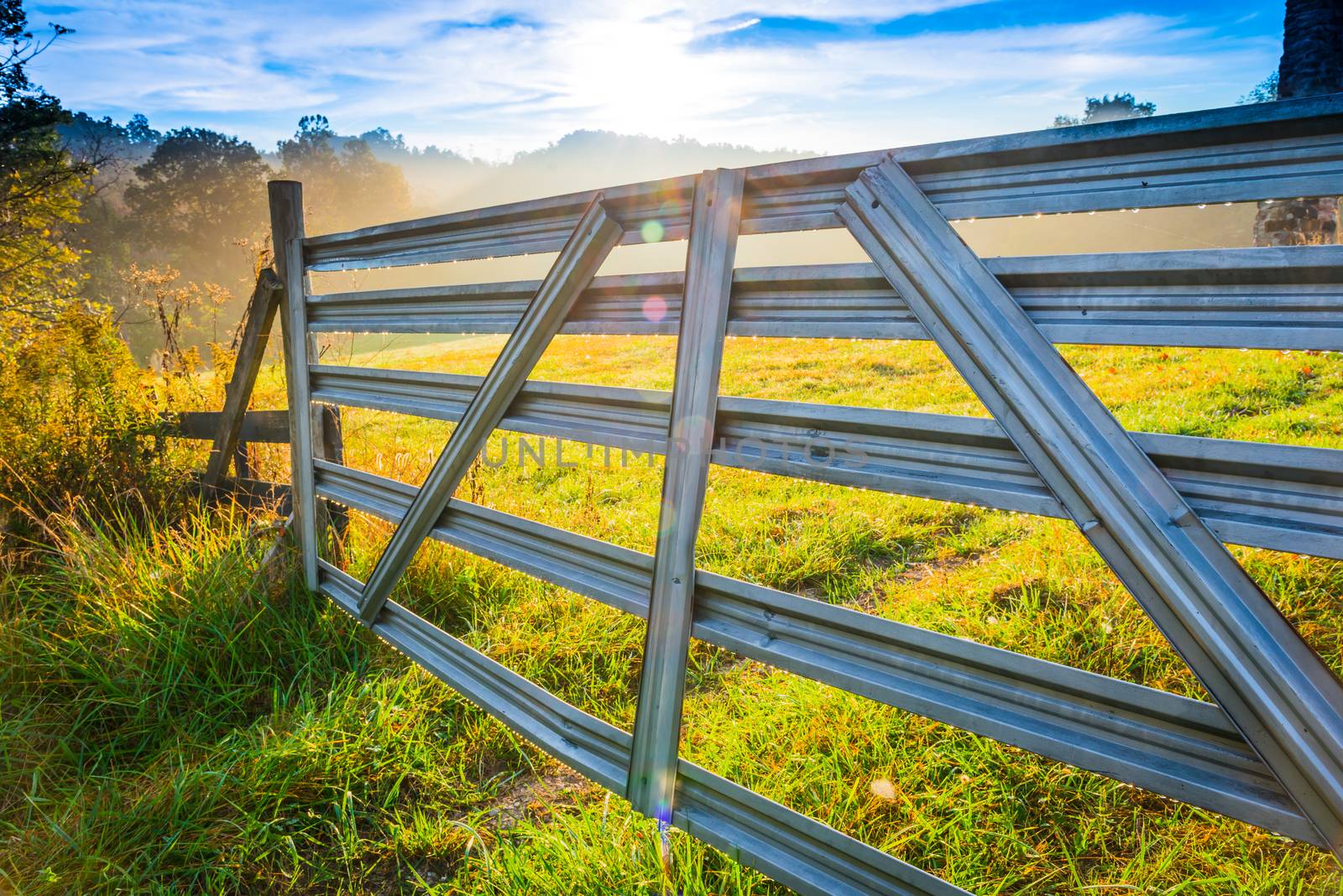 Old Farm Gate, Close-up by patrickstock