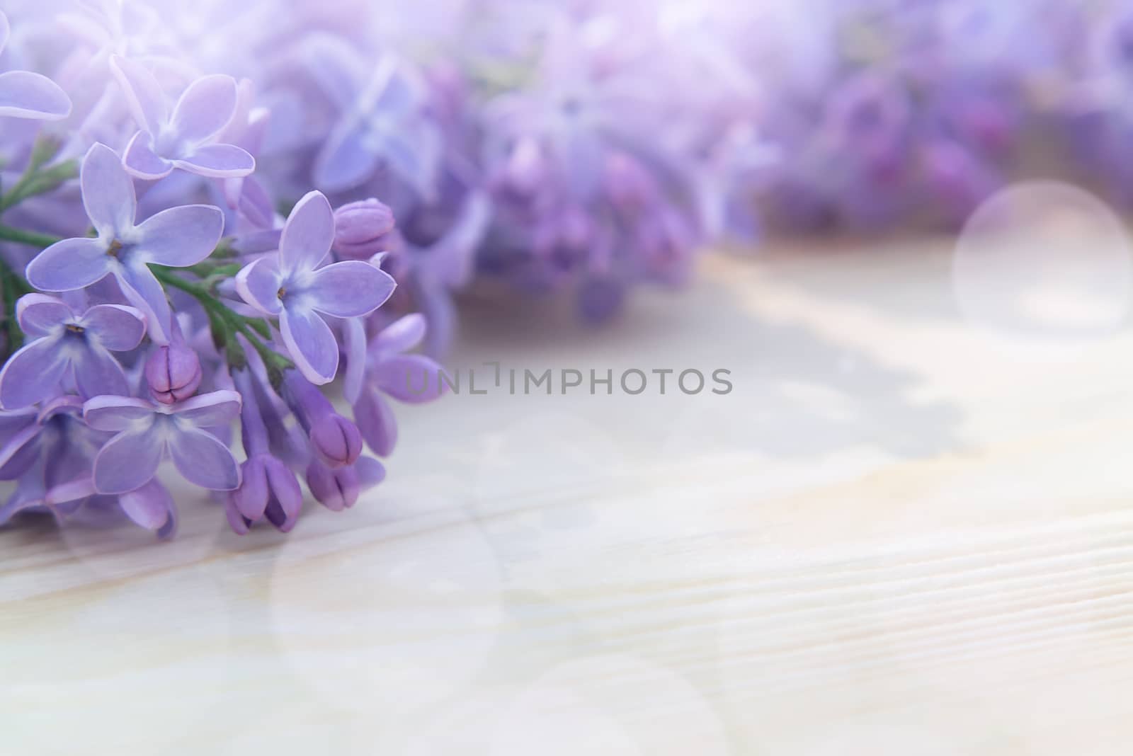 Beautiful floral blank for design - a border of lilac flowers on a wooden table with copy space for text by galsand