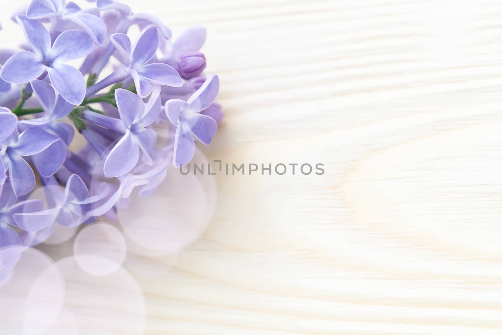 Beautiful floral blank for design - a border of lilac flowers on a wooden table with copy space for text.