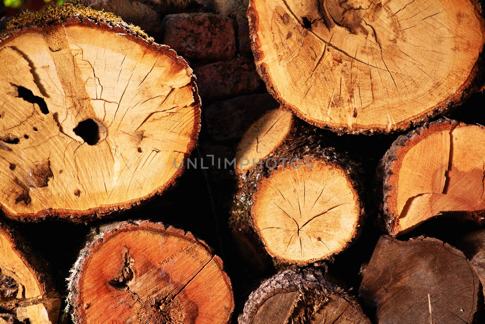 Freshly cut and stacked tree logs ready for the winter fireplace. Wooden logs as background.