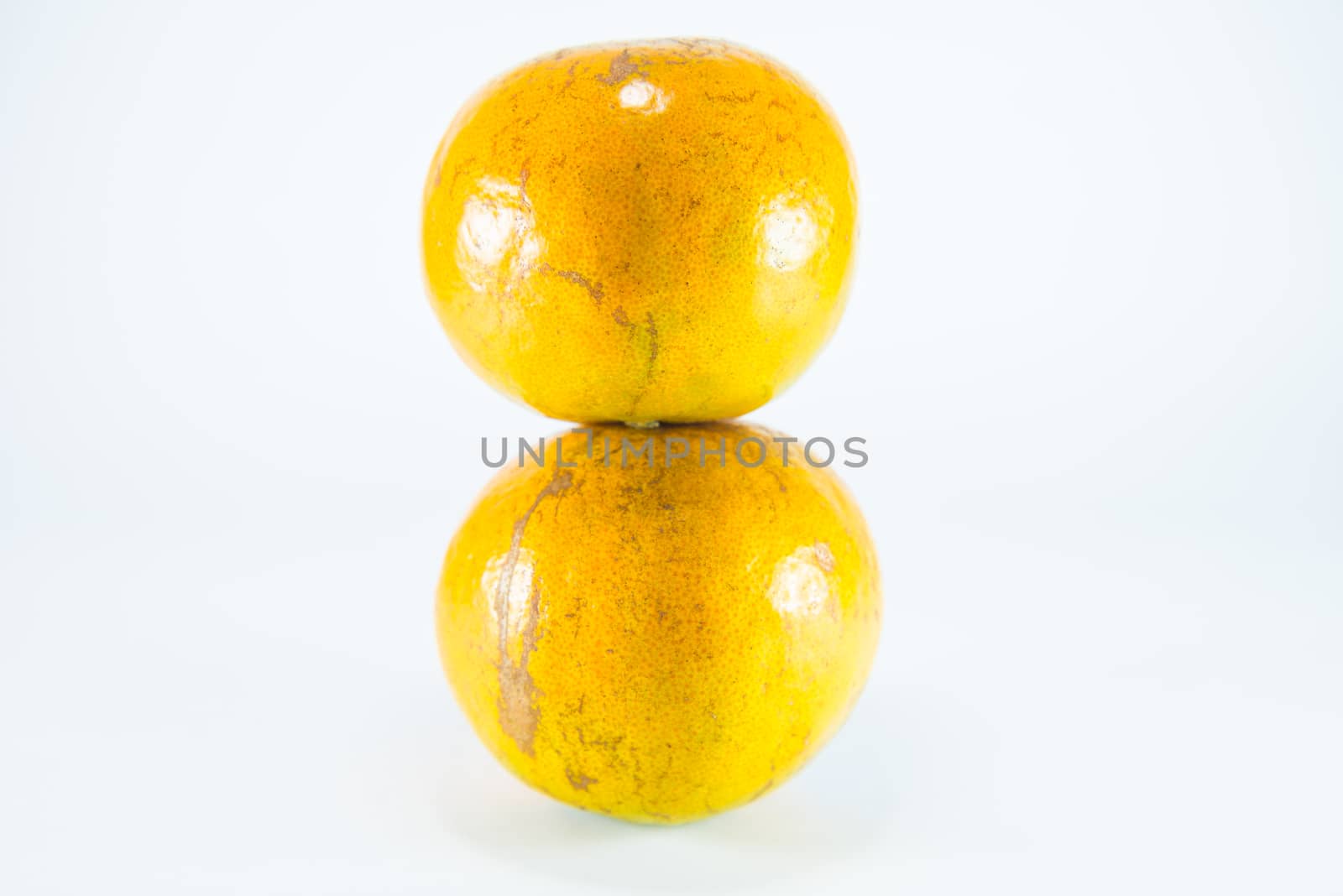 Orange on white background.