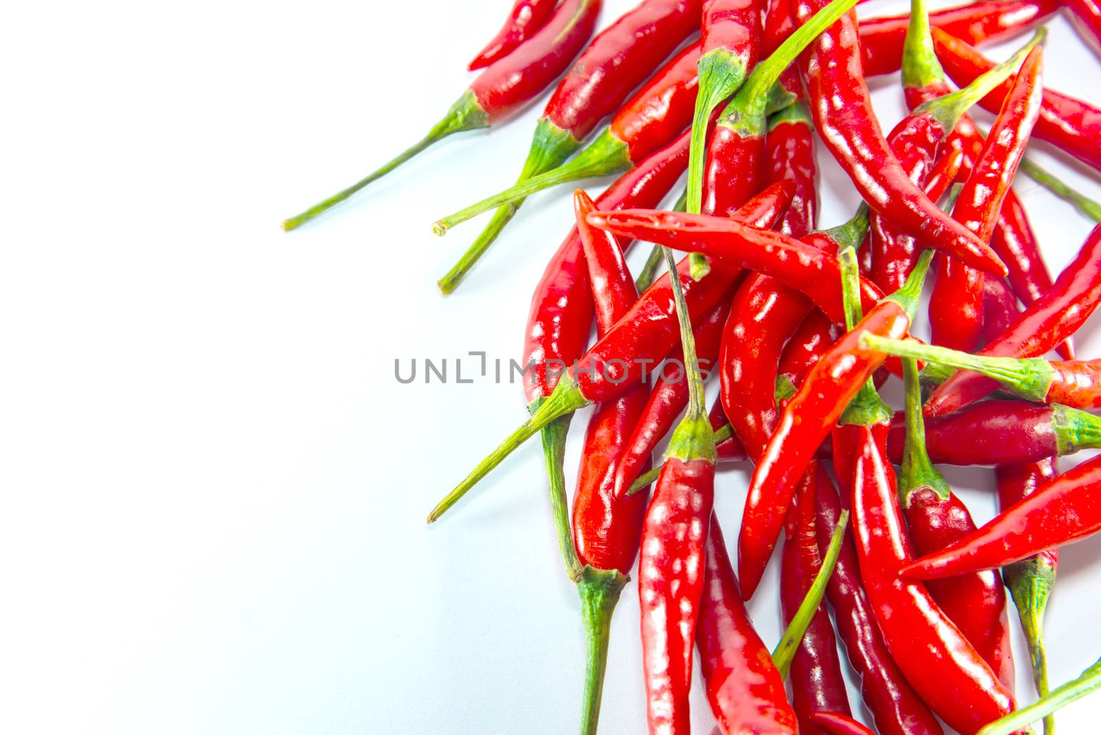 Red hot chilli on white background