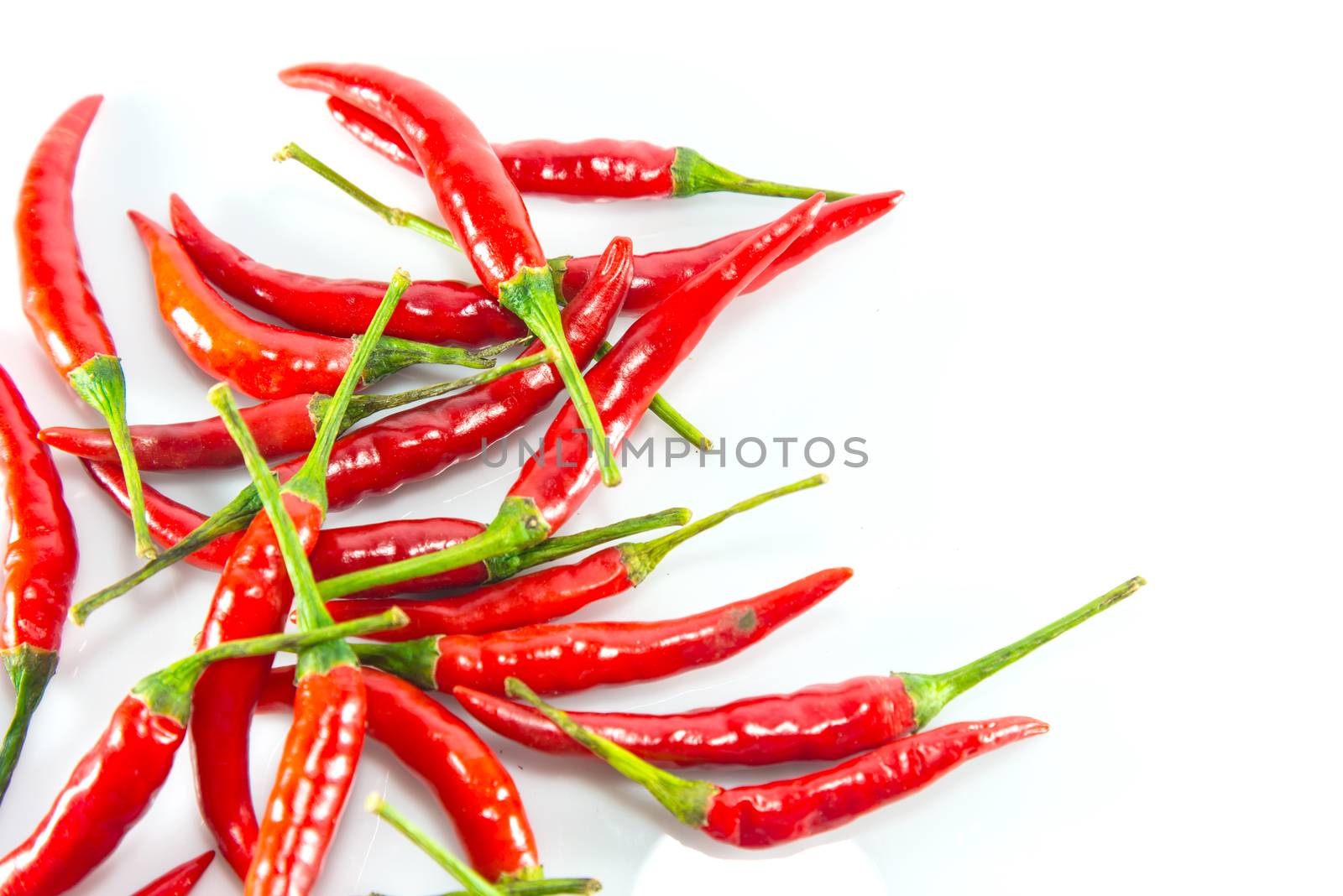 Red hot chilli on white background