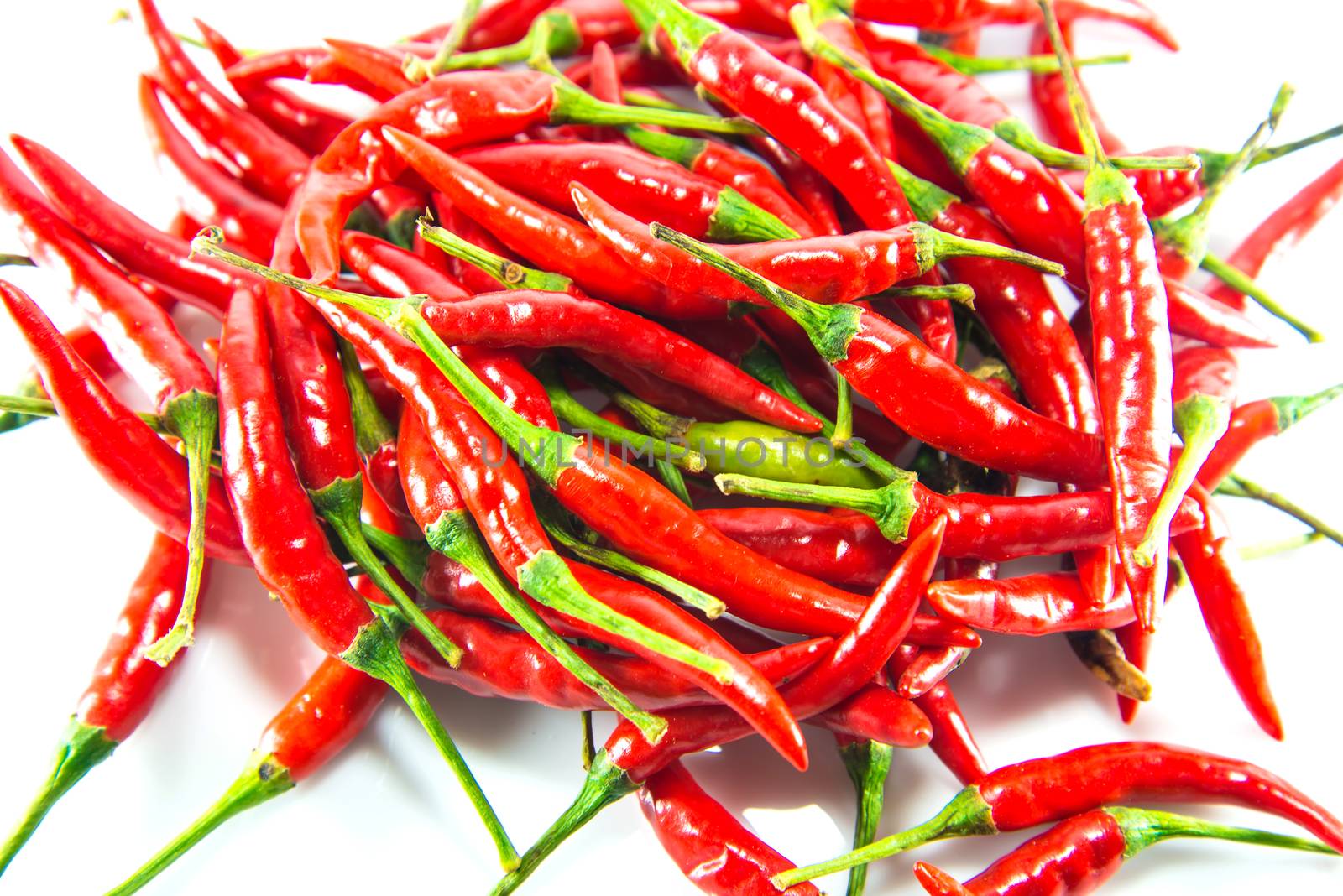 Red hot chilli on white background