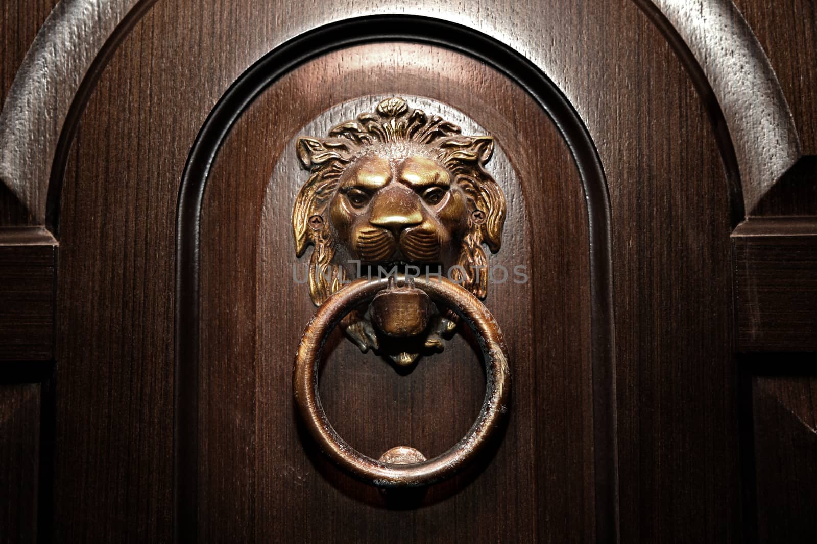 Door handle, lion head