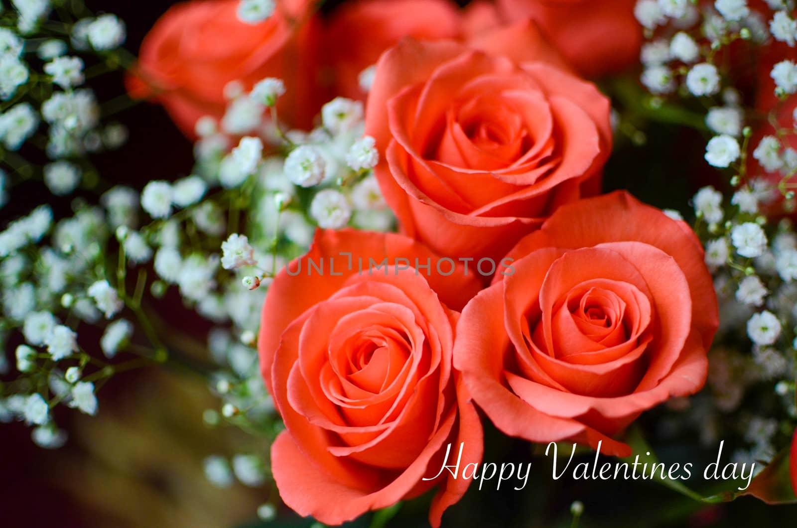 Valentines day concept of a close up view of a bunch of red roses with Happy Valentines day text by benentaylor