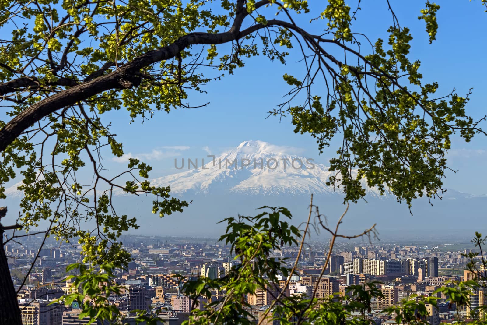 Mount Ararat and Yerevan city.