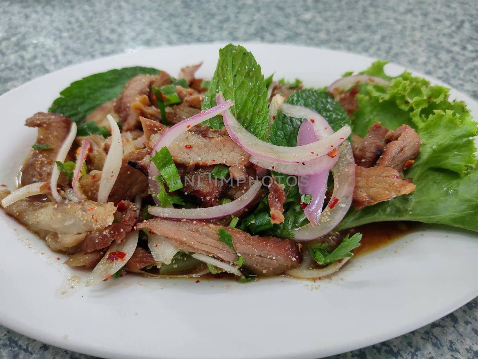 The Hot and Spicy Grilled Pork Salad on disk, Side view