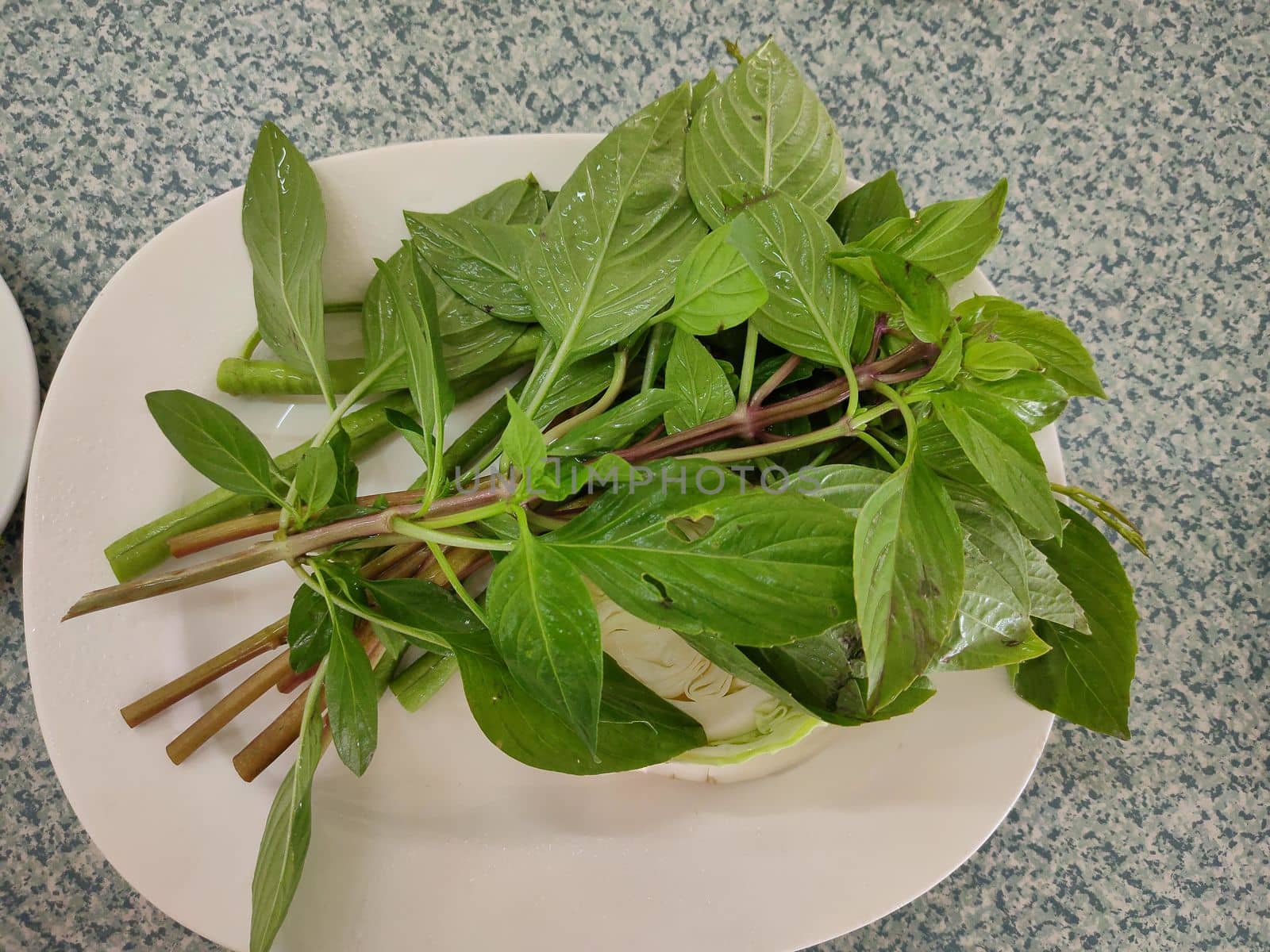 Sweet basil leaves as nice natural food background on disk by peerapixs