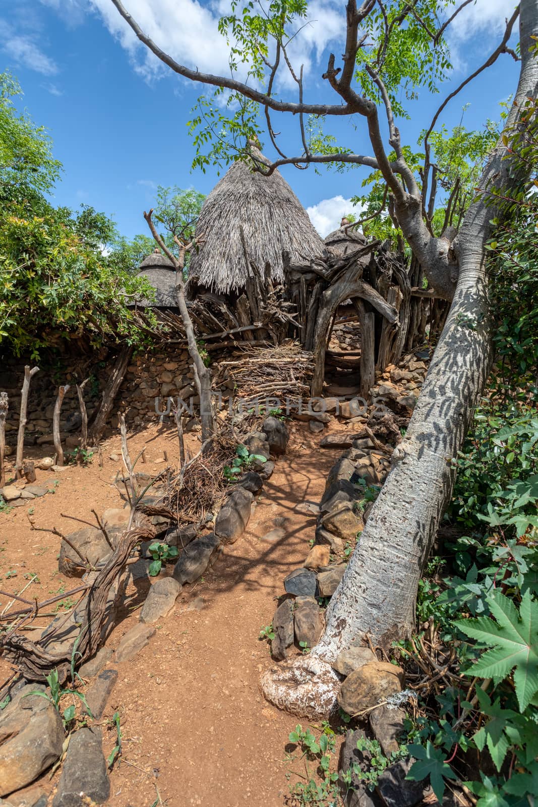 Fantastic walled village tribes Konso. African village. Africa, Ethiopia. Konso villages are listed as UNESCO World Heritage sites.