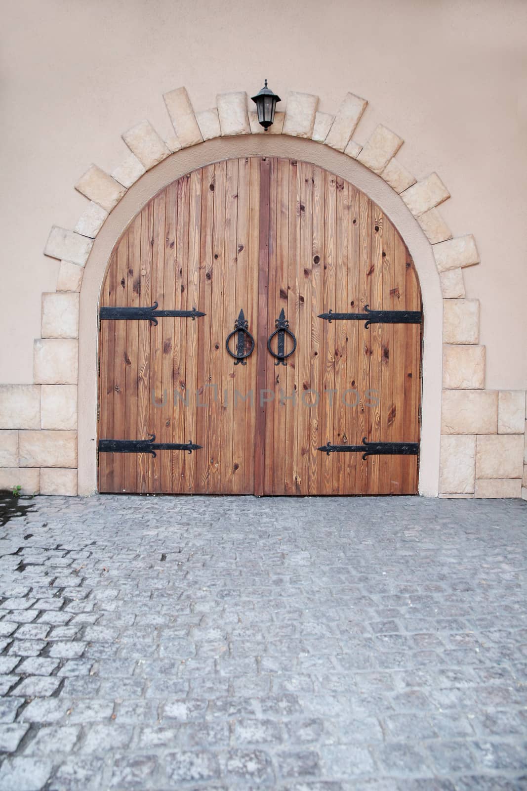 Arched medieval wooden door in a stone wall by olga_zinovskaya