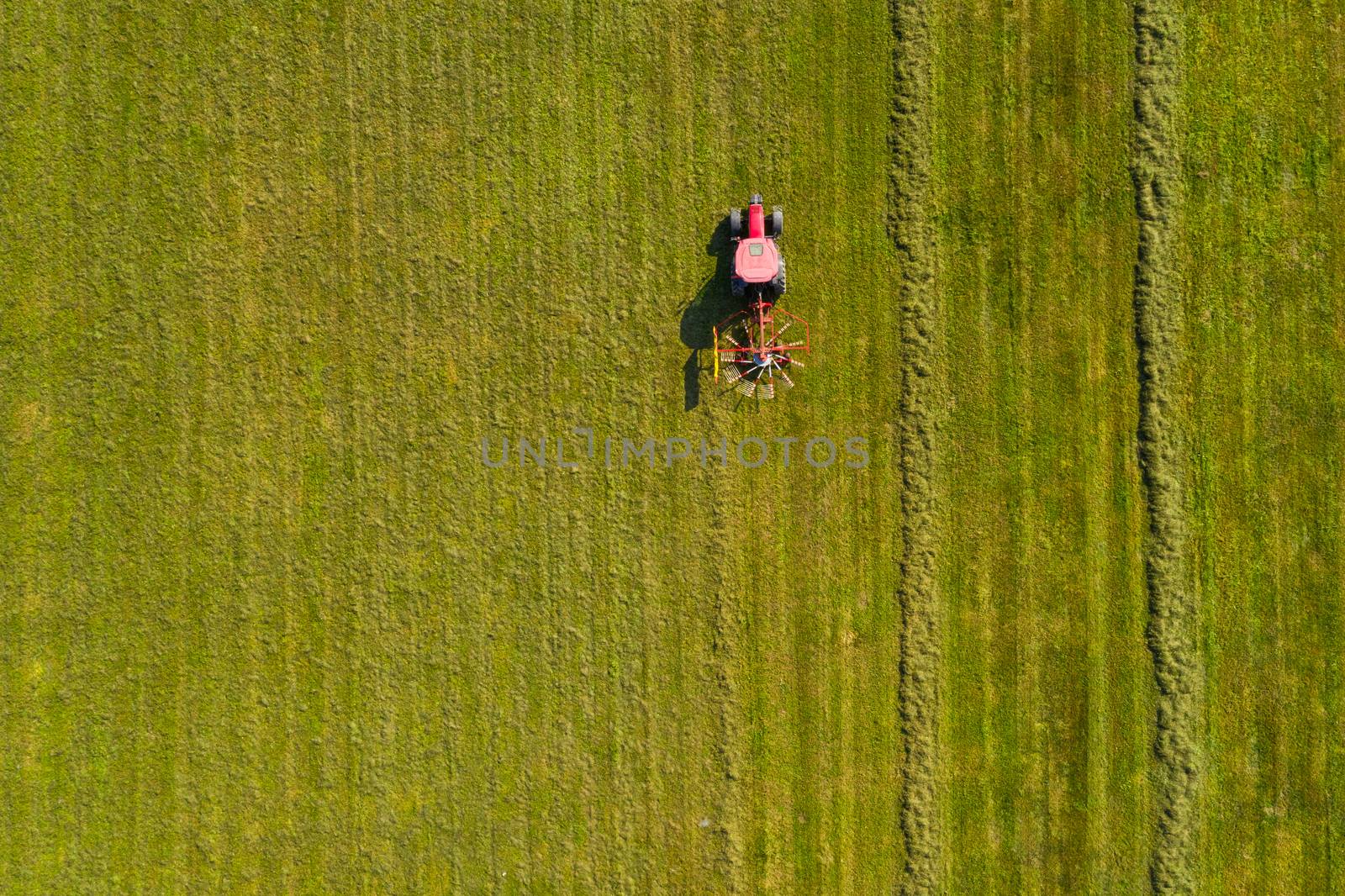 Red tractor windrowing hay, top down aerial view by asafaric