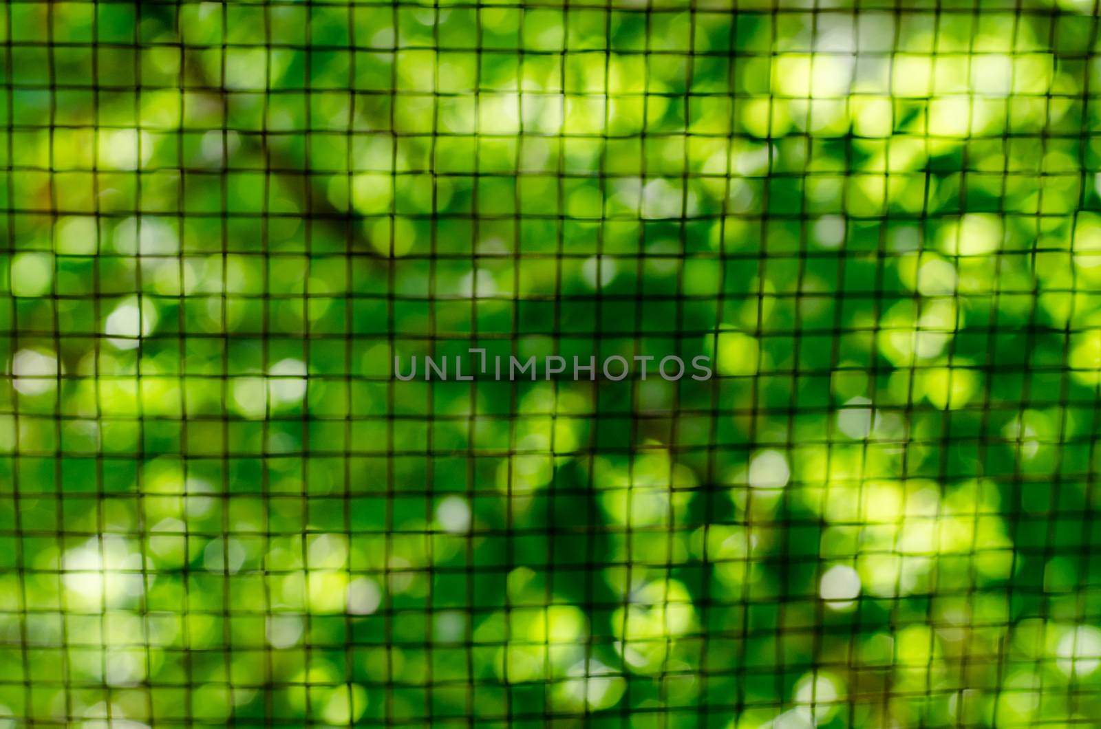 Green vegetative background through a metal lattice. Blur