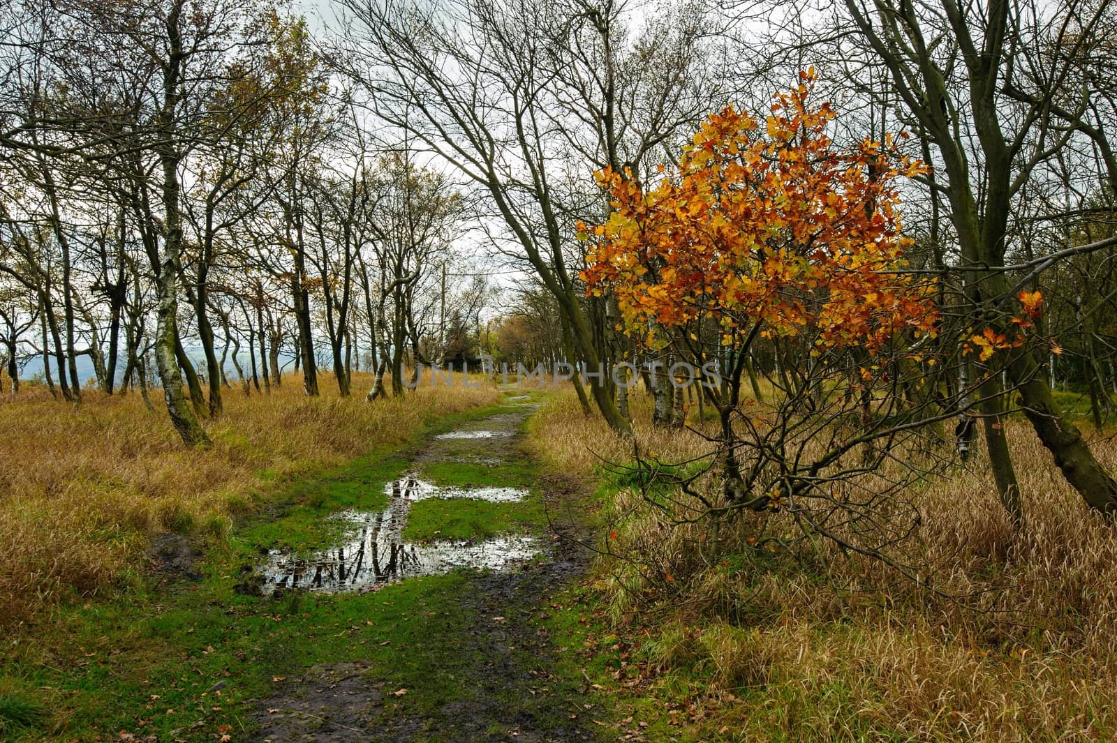 Autumn landscape - rocks, forests - all beautifully colored