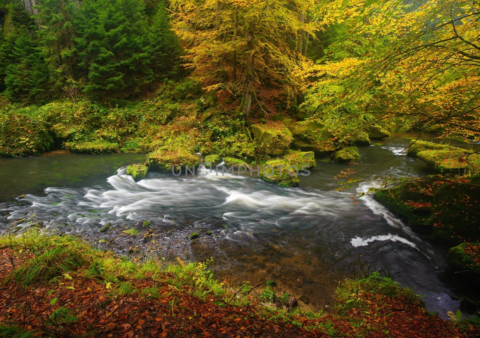 A beautifully clean river flowing through a colorful autumn forest