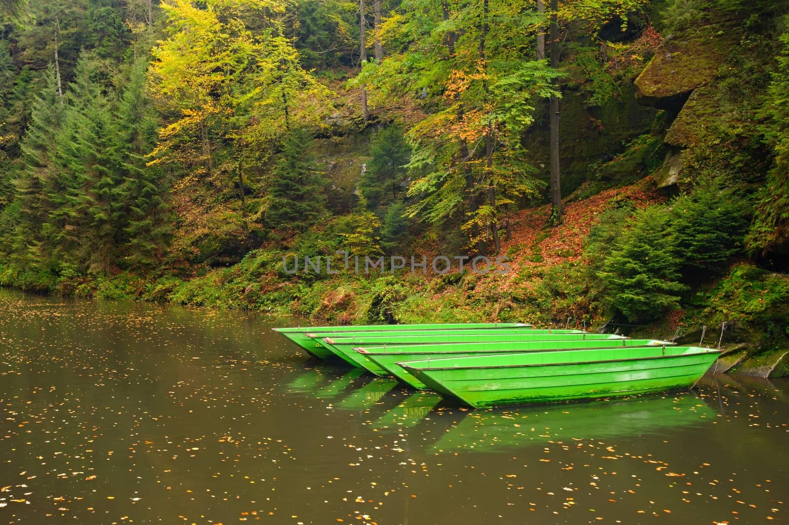 A beautifully clean river flowing through a colorful autumn forest