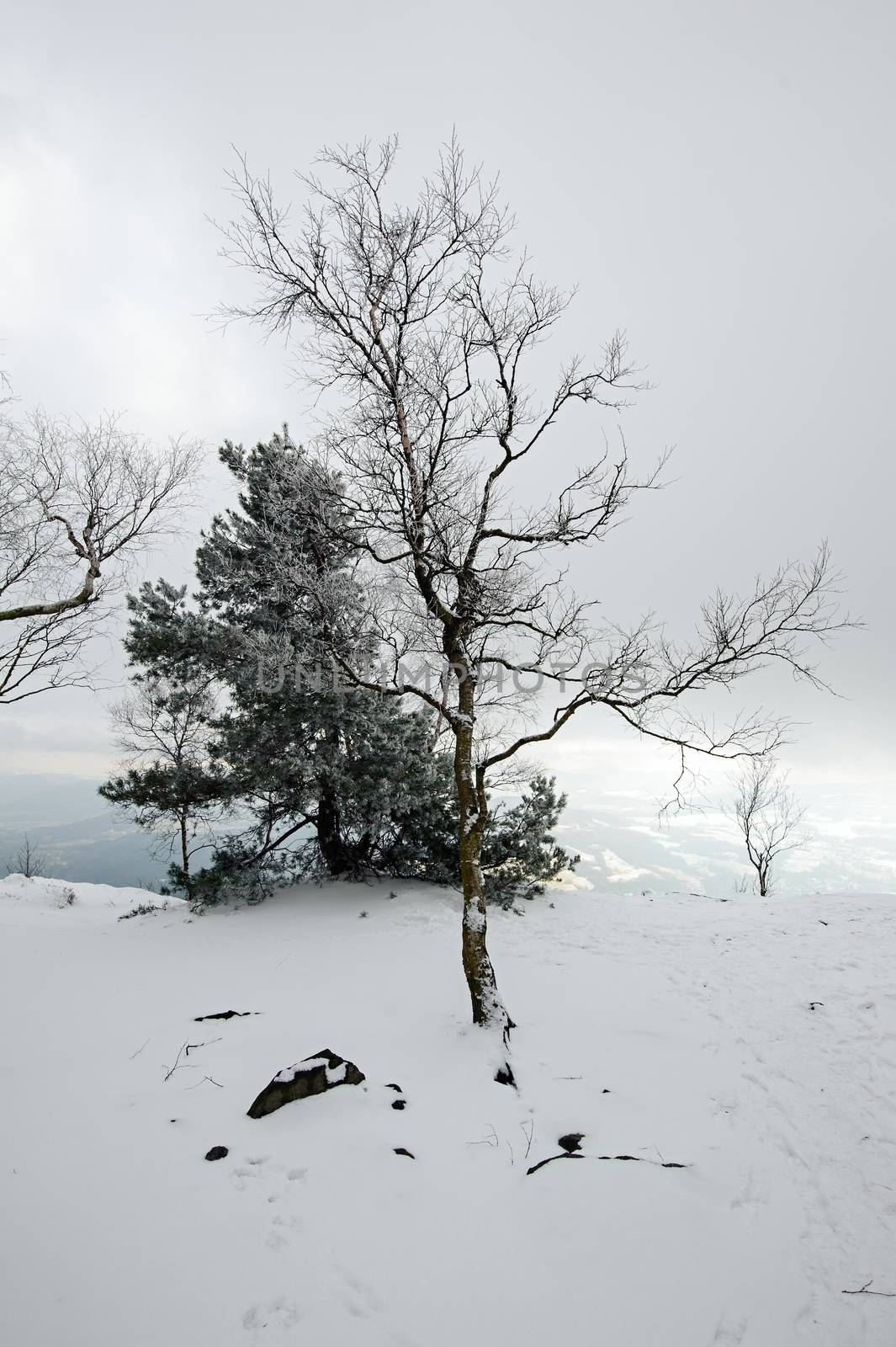 Winter landscape covered with snow and snow clouds