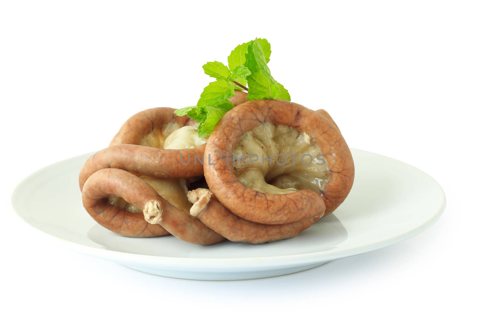 Boiled chitterlings internal organs of pig on white plate.