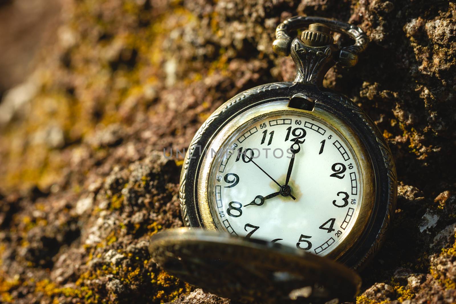 Vintage old pocket watch placed on the rock in forest and morning sunlight. At 8 o’clock. Closeup and copy space.