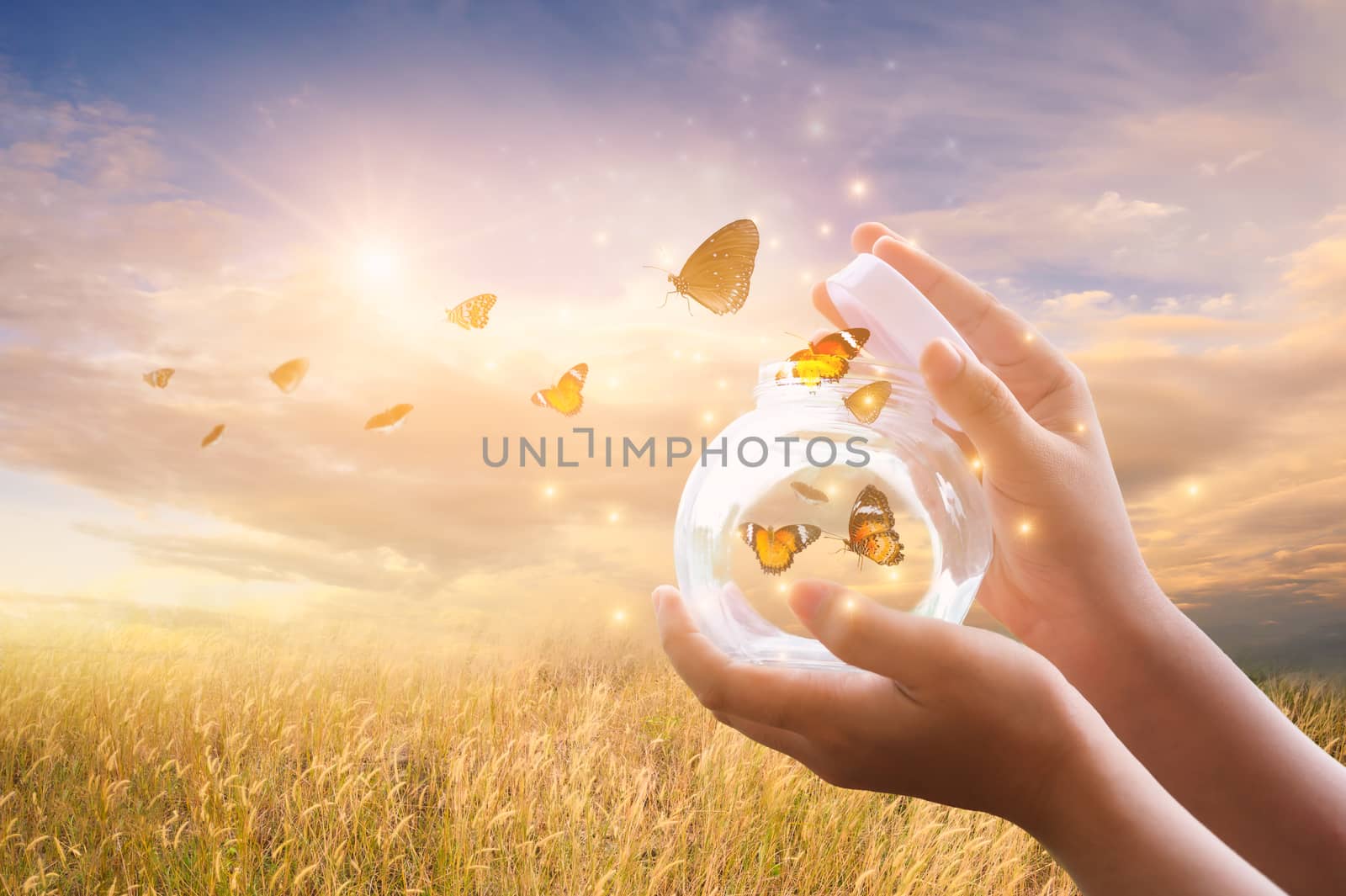 The girl frees the butterfly from the jar, golden blue moment Concept of freedom by sarayut_thaneerat